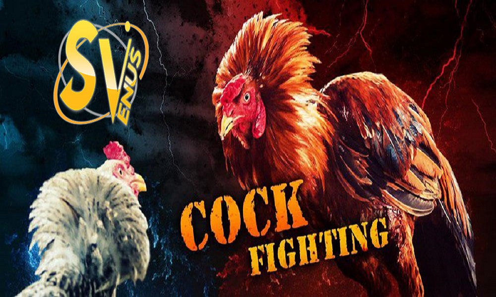 Alo789 chính thức tài trợ giải Thomo Cook Fight