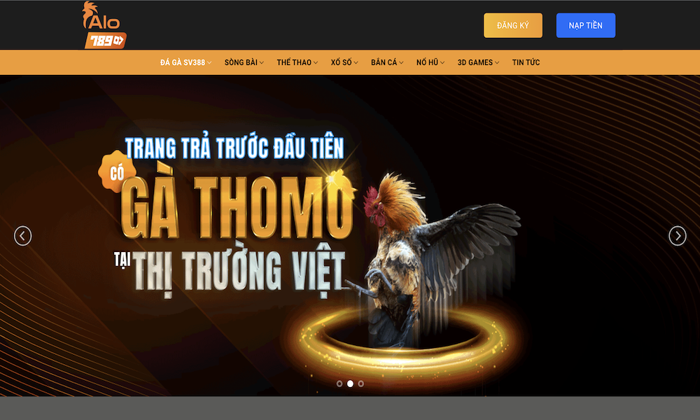 Thông tin về hệ thống Alo789