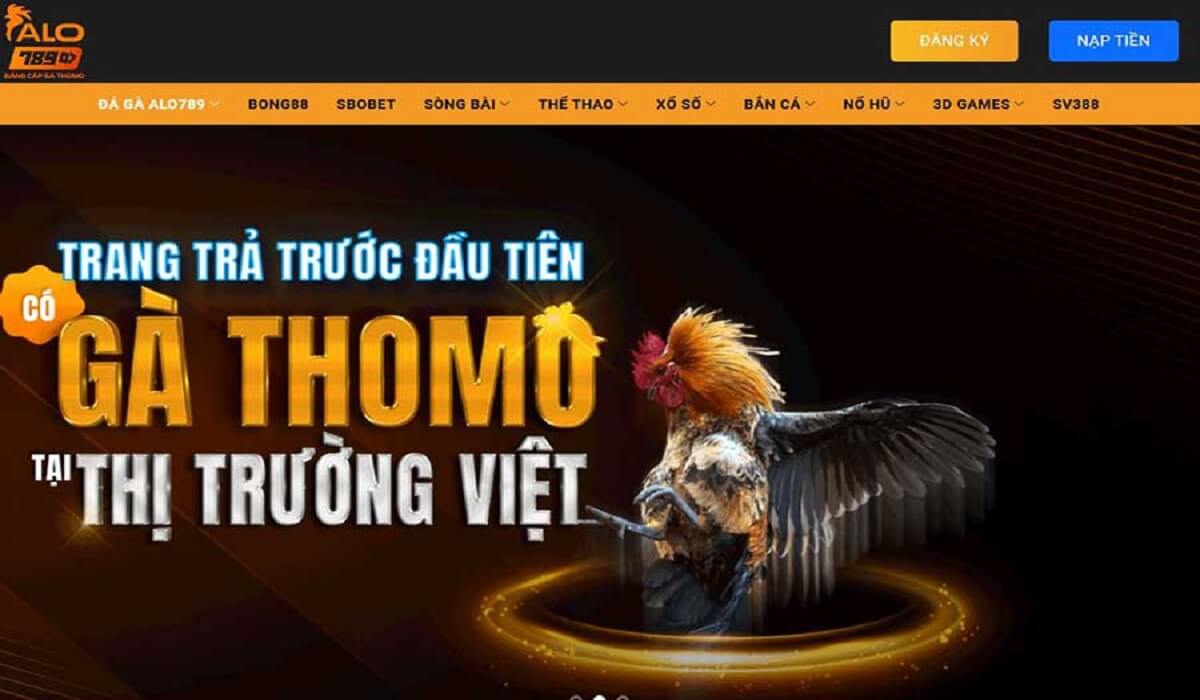 Chọn nhà cái uy tín tham gia